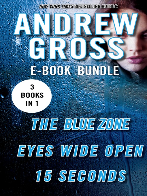 Title details for Andrew Gross Thriller Bundle by Andrew Gross - Available